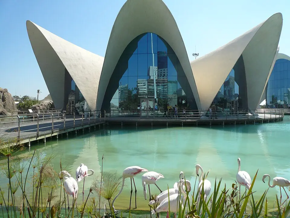 Oceanogràfic de Valencia con niños